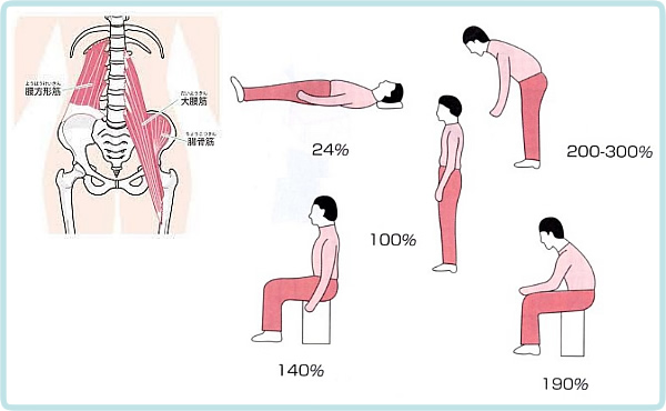 直立姿勢の負担を100%とした時の各姿勢の腰部負担