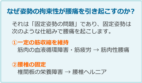 固定坐位姿勢による筋肉性腰痛と腰椎ヘルニアの起こる仕組み